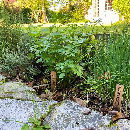 Grangebelle - Echappatoire Merveilleuse Villa Lommoye Exteriör bild